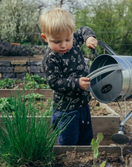 boy in black and white long sleeve shirt standing beside gray metal watering can during daytime