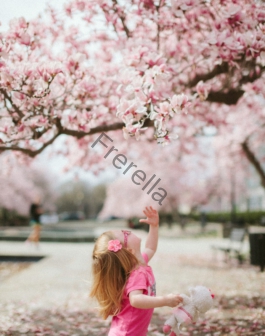 girl under cherry blossom tree