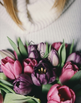 shallow focus photography of flowes